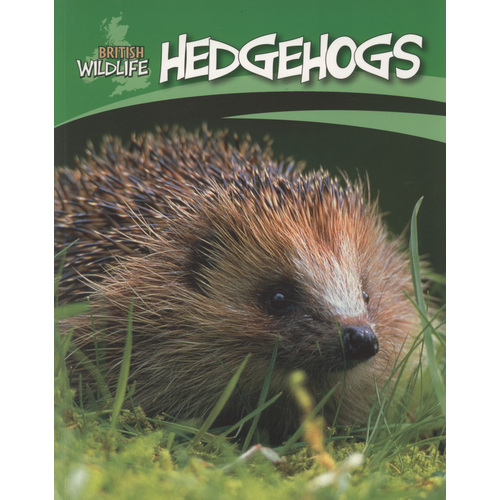 British Wildlife: Hedgehogs Sally Morgan Paperback Book