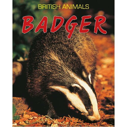 British Animals: Badger Michael Leach Paperback Book