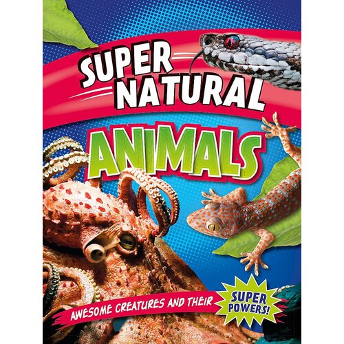 Super Natural: Animals Leon Gray Paperback Book