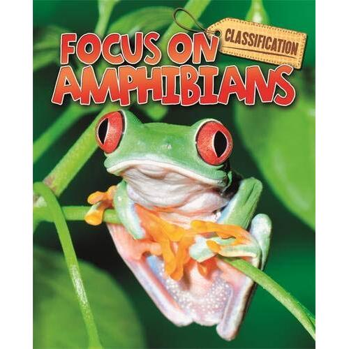 Classification: Focus on: Amphibians Stephen Savage Paperback Book