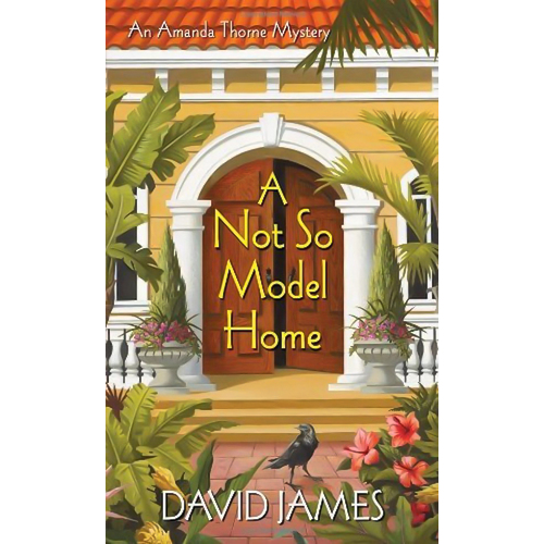 Not So Model Home, A David James Paperback Book