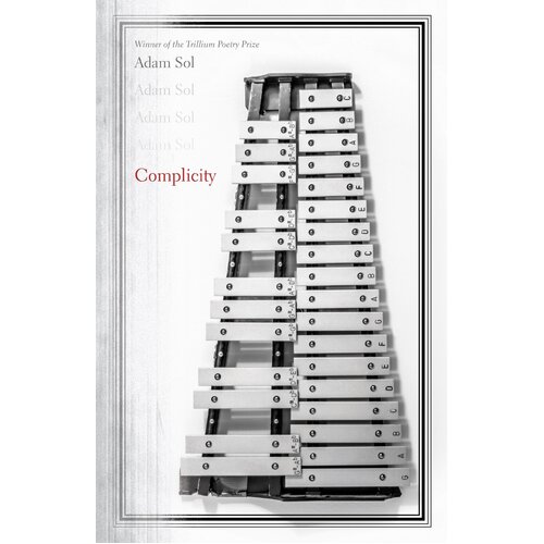 Complicity Adam Sol Paperback Novel Book