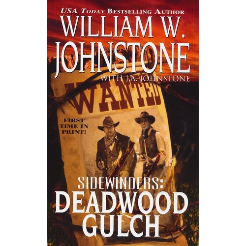 Sidewinders #5: Deadwood Gulch Paperback Book