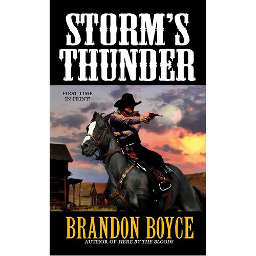 Storm&#39;s Thunder Derrick Borte Brandon Boyce Paperback Book
