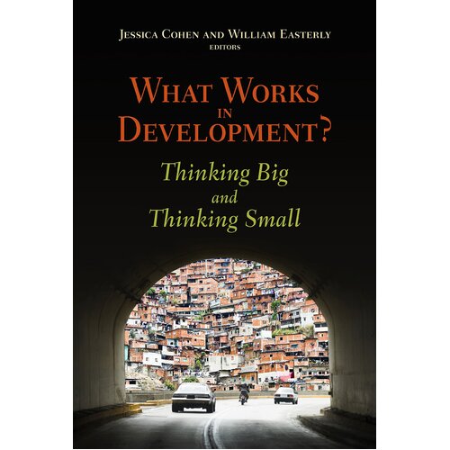 What Works in Development?: Thinking Big and Thinking Small Paperback Book
