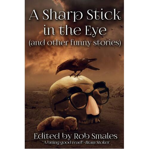 A Sharp Stick in the Eye: and Other Funny Stories Paperback Book