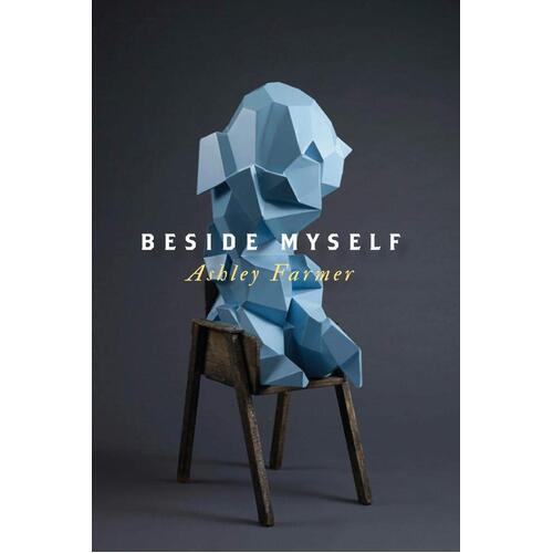 Beside Myself Ashley Farmer Paperback Book