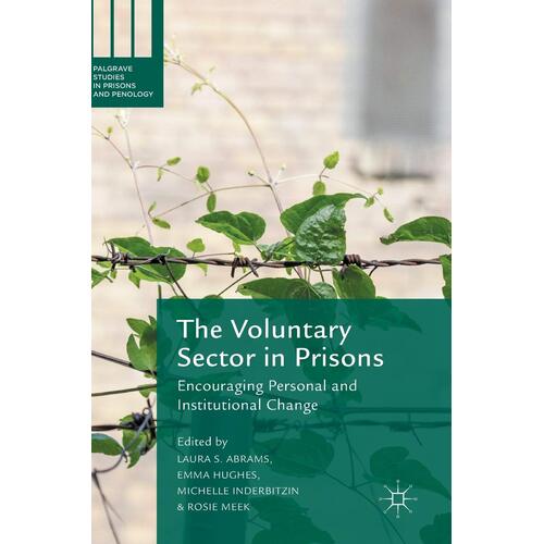 The Voluntary Sector in Prisons Paperback Book