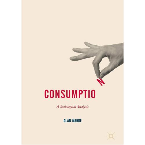 A Sociological Analysis (Consumption and Public Life) Paperback Book