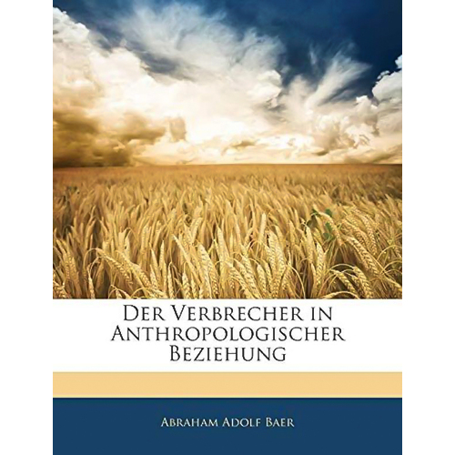 Der Verbrecher in Anthropologischer Beziehung Book