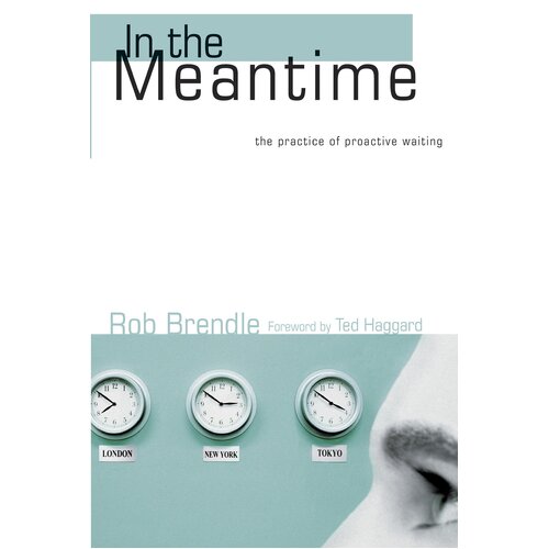 In the Meantime: The Practice of Proactive Waiting Rob Brendle Paperback Book