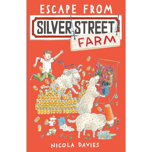 Escape from Silver Street Farm Paperback Book