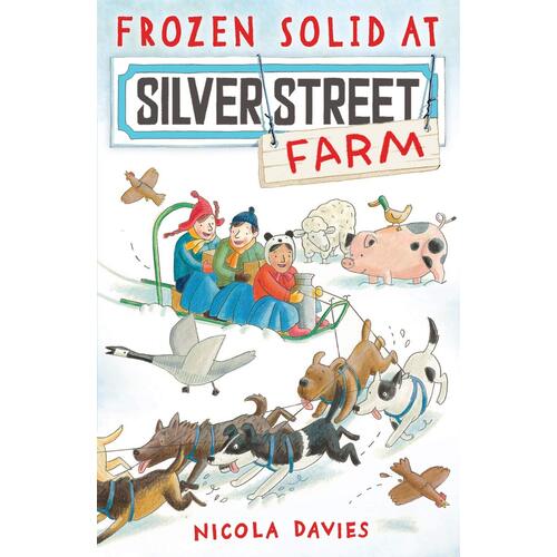 Frozen Solid at Silver Street Farm Paperback Book