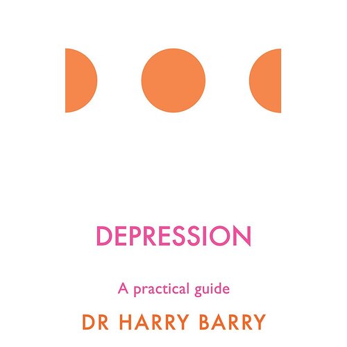 Depression: A practical guide (The Flag Series) Harry Barry Paperback Book