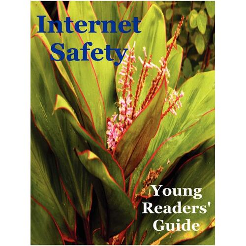 Internet Safety Young Readers&#39; Guide Victoria Roddel Paperback Book