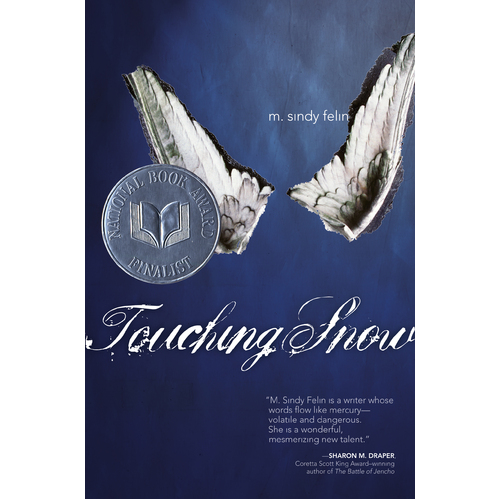 Touching Snow M. Sindy Felin Hardcover Novel Book