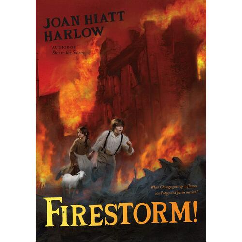 Firestorm! Joan Hiatt Harlow Paperback Book