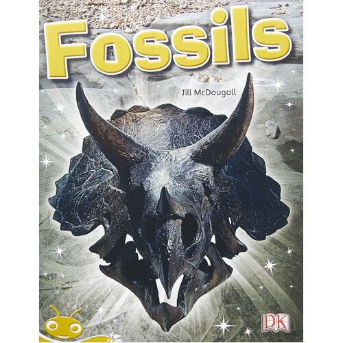 Bug Club Level 21 - Gold: Fossils Jill McDougall Paperback Book