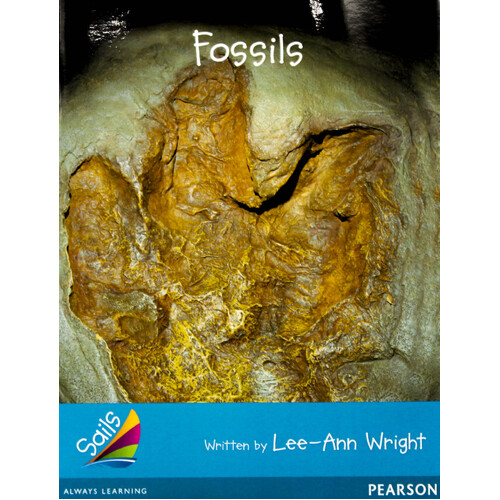 Fossils -Lee-Ann Wright Paperback Children&#39;s Book