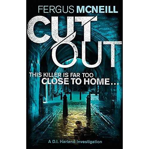 Cut Out Fiction Novel Novel Book