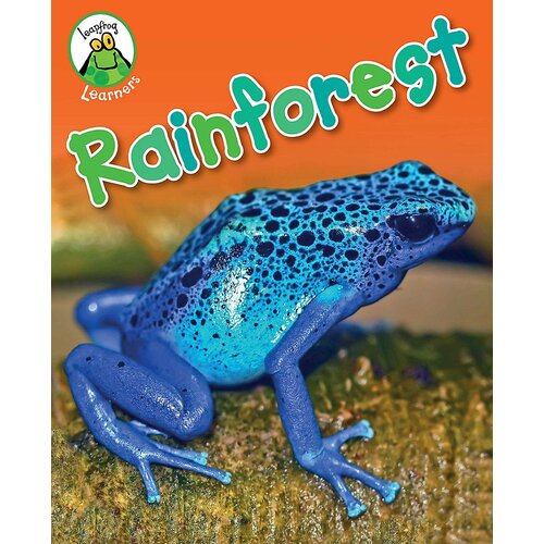 Leapfrog Learners: Rainforest Annabelle Lynch Paperback Book