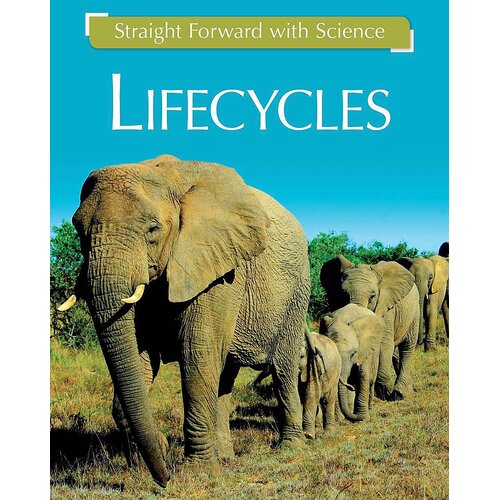 Straight Forward with Science: Life Cycles (Straight Forward with Science)