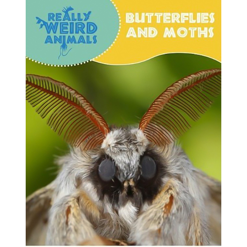 Really Weird Animals: Butterflies and Moths (Really Weird Animals) - Children&#39;s