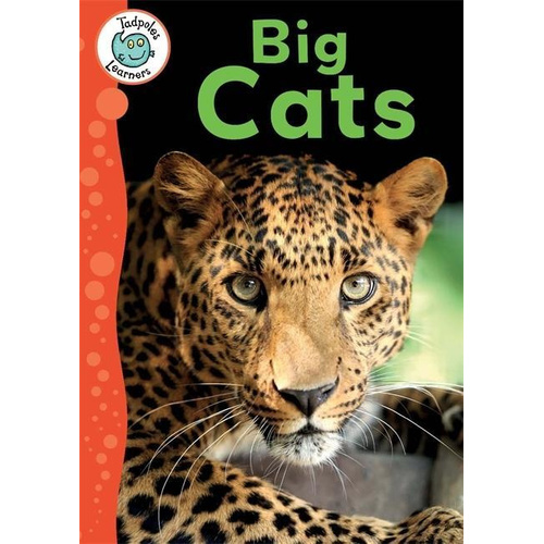 Tadpoles Learners: Big Cats -Annabelle Lynch Children&#39;s Book