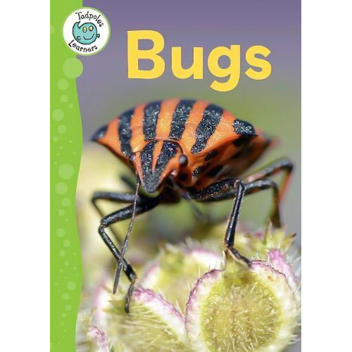Tadpoles Learners: Bugs (Tadpoles Learners) -Lynch, Annabelle Children&#39;s Book
