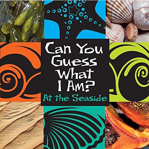 Can You Guess What I Am?: At the Seaside (Can You Guess What I Am?)