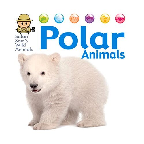 Safari Sam&#39;s Wild Animals: Polar Animals David West Paperback Book
