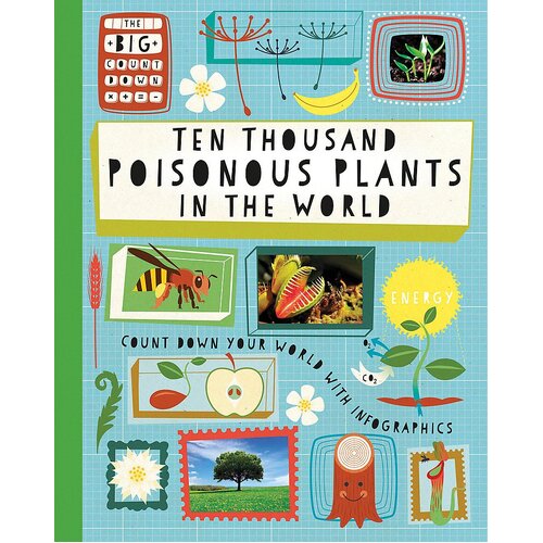 The Big Countdown Children&#39;s Book