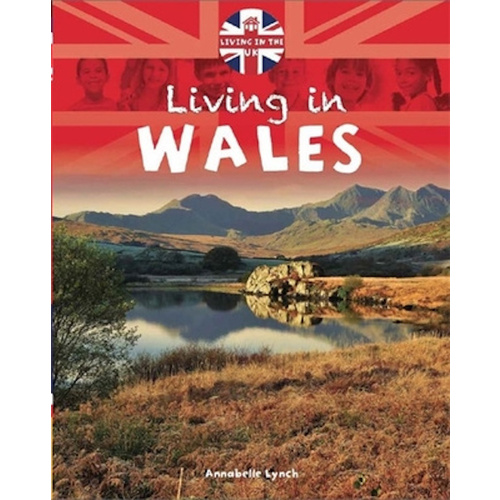 Let&#39;s Visit: Wales (Let&#39;s Visit) -Annabelle Lynch Children&#39;s Book
