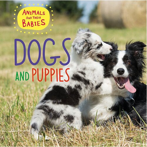 Animals and their Babies: Dogs &amp; puppies Annabelle Lynch Hardcover Book