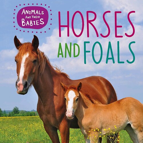 Animals and their Babies: Horses &amp; foals Annabelle Lynch Hardcover Book