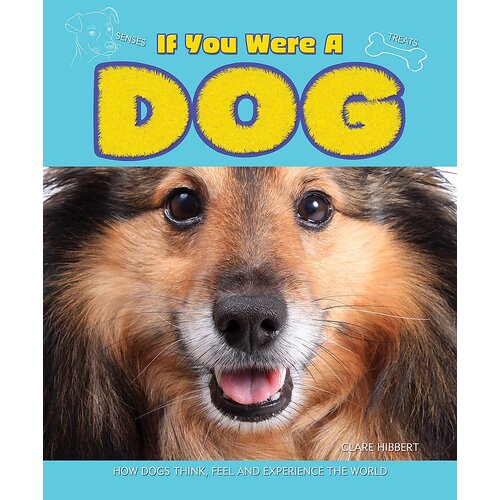 If You Were a Dog Clare Hibbert Paperback Book