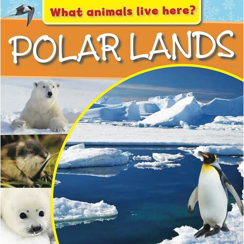 What Animals Live Here?: Polar Lands M.J. Knight Paperback Book
