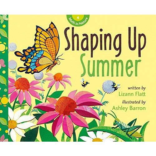 Maths in Nature: Shaping Up Summer (Maths in Nature) - Children&#39;s Book