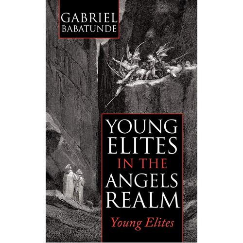 Young Elites in the Angels Realm Gabriel Babatunde Paperback Book