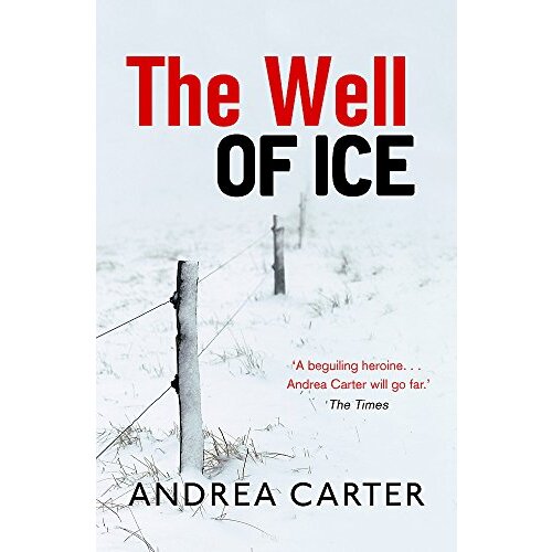 The Well of Ice: Inishowen Mysteries -Andrea Carter Fiction Book