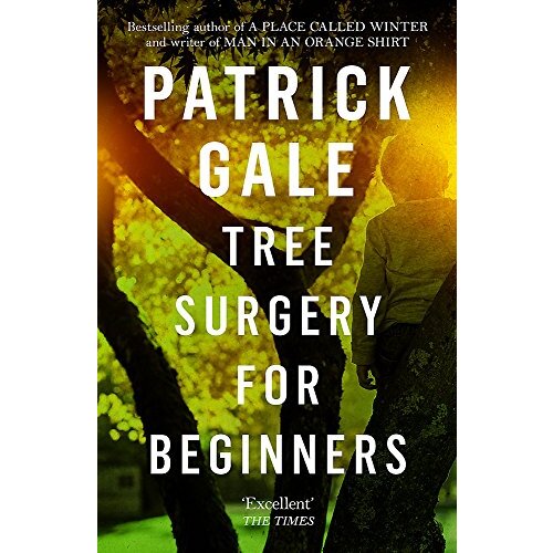 Tree Surgery for Beginners -Patrick Gale Fiction Novel Book