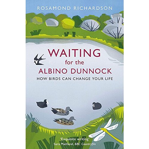 Waiting for the Albino Dunnock: How Birds Can Change Your Life - Science Book