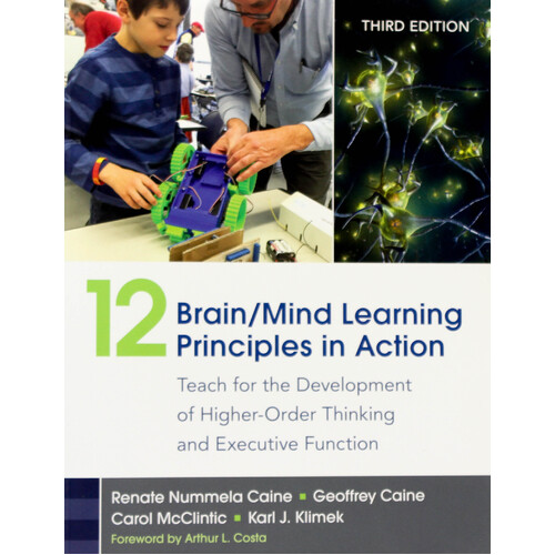 12 Brain/Mind Learning Principles in Action Paperback Novel Novel Book