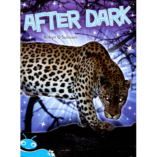 After Dark -Robyn O&#39;Sullivan Paperback Children&#39;s Book