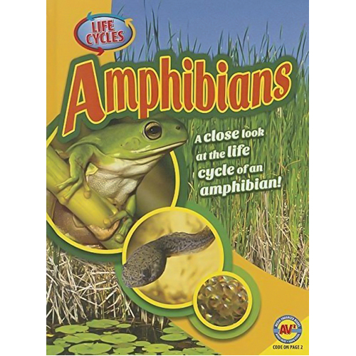 Amphibians Jack Zayarny Hardcover Book