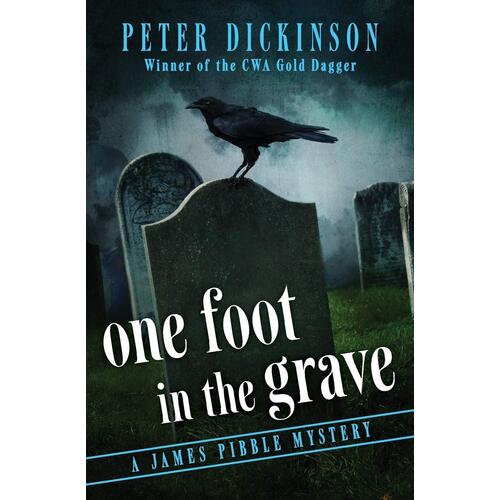One Foot in the Grave: The James Pibble Mysteries Paperback Novel Book