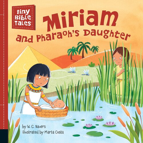 Miriam and Pharaoh&#39;s Daughter (Tiny Bible Tales) [Board book]  Novel Book