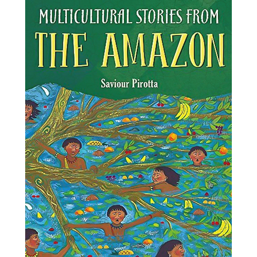 Multicultural Stories: Stories From The Amazon - Children&#39;s Novel Book