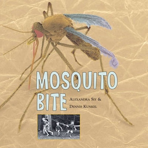 Mosquito Bite -Dennis Kunkel Alexandra Siy Children&#39;s Book