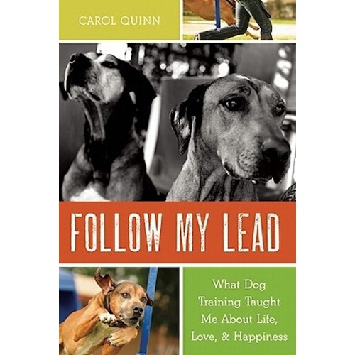Follow My Lead  Novel Novel Book